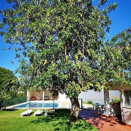 Dom wakacyjny Casa Do Corgo Em *